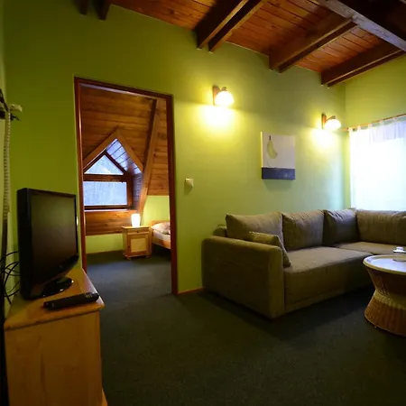 Salas-partizanske Partizánske