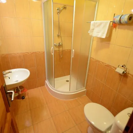 Salas-partizanske Guest house 2*