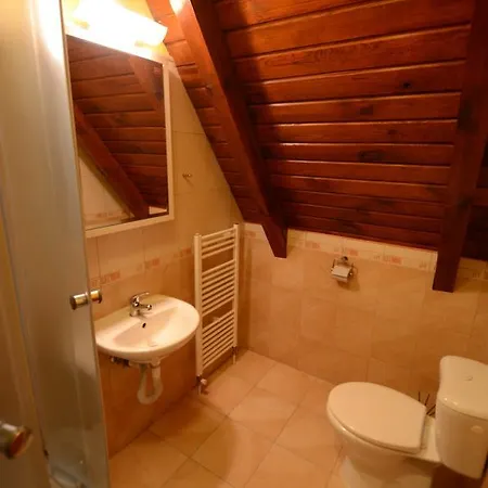 Guest house Salas-partizanske 2*