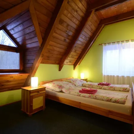 Guest house Salas-partizanske 2*